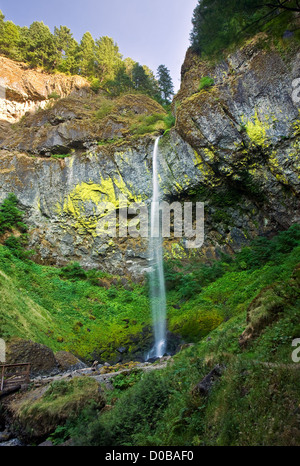 Elowah fällt im Sommer, auf der Seite der Oregon Columbia River Gorge, im pazifischen Nordwesten Stockfoto