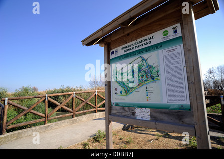 Italien, Basilicata, Policoro, Riserva regionale Bosco Pantano, WWF Naturschutzgebiet Stockfoto