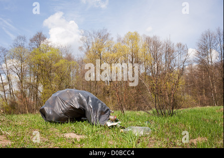 Müll in Plastiktüte Dump im Wald Stockfoto