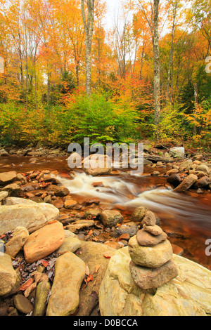 TROCKEN SIE, GABEL, SOUTH FORK RED CREEK, WILDSCHWEINE NEST TRAIL, HIERFÜR UND ROARING EBENEN WILDNIS, DOLLY GRASSODEN, DRY CREEK, WEST VIRGINIA, Stockfoto