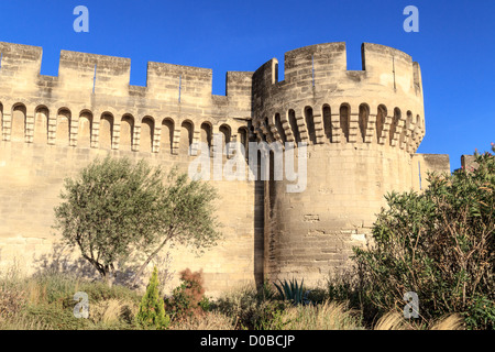 Mittelalterlichen Stadtmauer von Avignon / Befestigungen, Provence, Frankreich Stockfoto