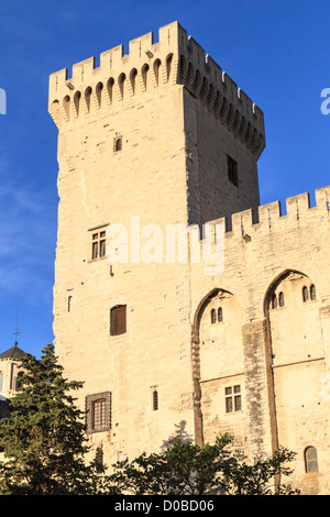 Avignon in der Provence - Blick auf den Palast der Päpste Stockfoto