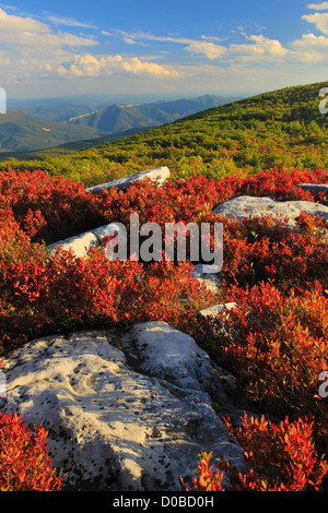 Bär-Felsen bewahren, Dolly Grassoden Wildnis, Hopeville, West Virginia, USA Stockfoto