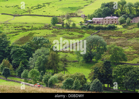 Landwirtschaftliche Gebäude auf einem Hügel in der Nähe von Allendale in Northumberland. Stockfoto