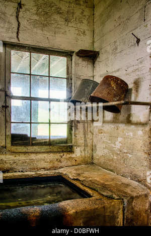 Milch-Eimer in den Melkstand Raum einer Scheune. Stockfoto