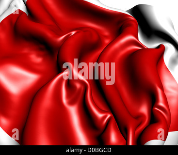 Flagge von Sharjah, Vereinigte Arabische Emirate. Hautnah. Stockfoto