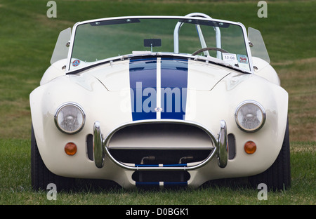 Ford/Shelby AC Cobra auf 2012 Concours d ' Elegance in Churchill Downs in Louisville, Kentucky Stockfoto