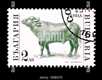 Briefmarke aus Bulgarien, die Darstellung eines Ochs. Stockfoto