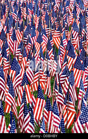 Amerikanische Flaggen, amerikanische Soldaten getötet in Afghanistan auf dem Display in Bethlehem, Indiana darstellt Stockfoto