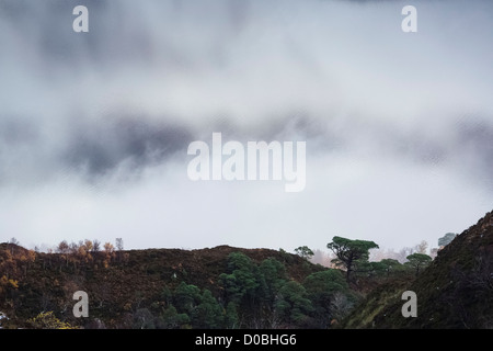 Ein Kiefer-Baum Silhouette gegen die Wolke und Reflexionen am Loch Maree in den schottischen Highlands. Stockfoto