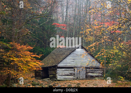 Rustikale Log Scheune auf dem Noah Bud Ogle-Platz in der Great-Smoky-Mountains-Nationalpark in Sevier County, Tennessee Stockfoto