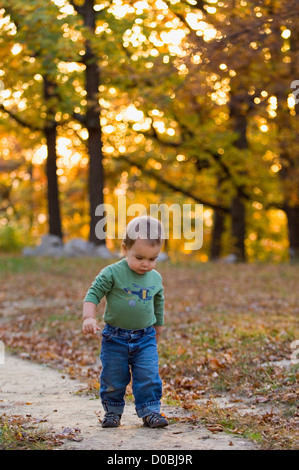 Achtzehn Monate alten Jungen zu Fuß entlang der Pfad im Iroquois Park in Louisville, Kentucky Stockfoto