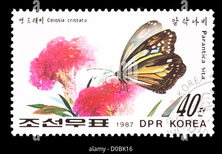 Briefmarke aus Nordkorea, die Darstellung eines Kastanie Tiger Schmetterlings (Parantica Sita) auf Hahnenkamm Blumen (Celosia Cristata) Stockfoto