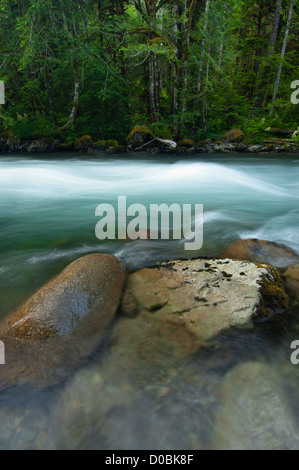 Sauk River, Mount Baker-Snoqualmie National Forest, Washington, USA Stockfoto