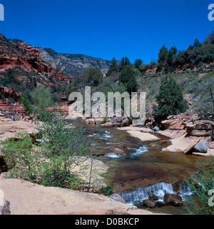 Oak Creek Canyon in der Nähe von Sedona, Arizona, USA - Oak Creek und Sandsteinfelsen am Slide Rock, Slide Rock State Park Stockfoto