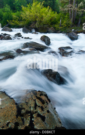 Sauk River, Mount Baker-Snoqualmie National Forest, Washington, USA Stockfoto