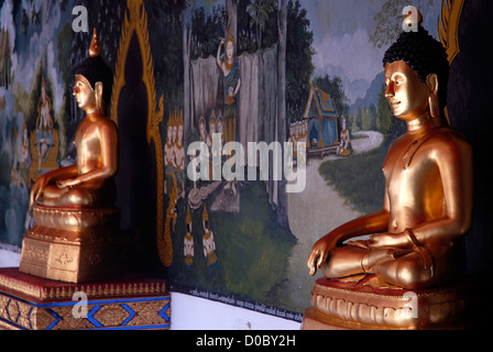 Doi Suthep, Tempel, Anblick, Pagode, Gold,. Chiang Mai, Thailand, Asien Stockfoto