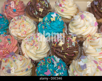 Geeiste Cupcakes in einem Bäckerei-Fenster Stockfoto