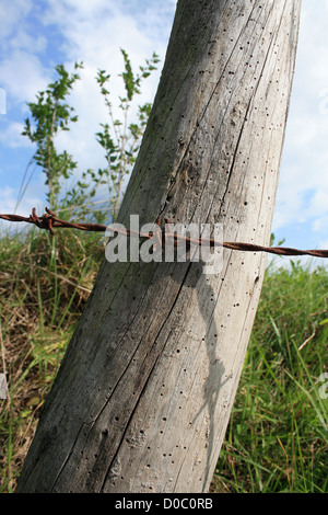 Einem Strang verdreht, Rost bedeckt Stacheldraht befestigt auf einem Zaunpfahl in einem Bauern Feld in Cotacachi, Ecuador Stockfoto