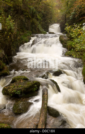 Wasserfälle und Stromschnellen auf dem Wasser Farley (Hoar Eiche Wasser) über Watersmeet, Exmoor National Park, Devon. Stockfoto