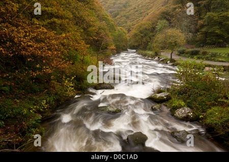 Watersmeet, Zusammenfluss der Flüsse West Lyn und Osten Lyn, Exmoor National Park, Devon, England, UK Stockfoto