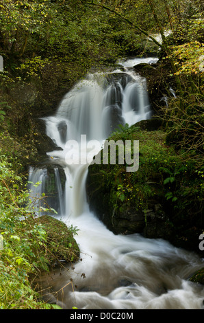 Wasserfälle und Stromschnellen auf dem Wasser Farley (Hoar Eiche Wasser) über Watersmeet, Exmoor National Park, Devon, England, UK Stockfoto