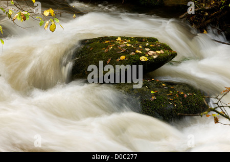 Wasserfälle und Stromschnellen auf dem Wasser Farley (Hoar Eiche Wasser) über Watersmeet, Exmoor National Park, Devon, England, UK Stockfoto