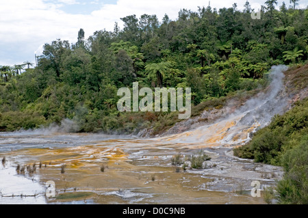 Orakei Korako, The Hidden Valley, in der Nähe von Taupo, Neuseeland Stockfoto