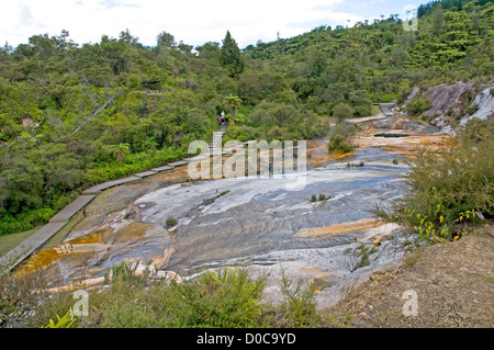 Orakei Korako, The Hidden Valley, in der Nähe von Taupo, Neuseeland Stockfoto