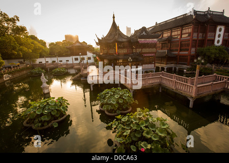 Sonnenaufgang über das Huxinting-Teehaus im Yu Yuan Garten Shanghai, China Stockfoto