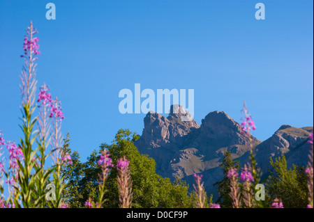 Le Casset, Monetier, Hautes Alpes, Frankreich Stockfoto