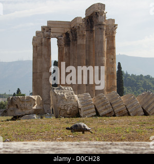 Der Tempel des Olympischen Zeus, auch als das olympieion oder Spalten des olympischen Zeus bekannt, ist eine kolossale zerstörten Tempels im Zentrum der griechischen Hauptstadt Athen, die Zeus geweiht war, König der olympischen Götter. eines der Symbole von Athen und der griechischen Kultur Stockfoto