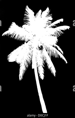 Silhouette der Kokospalme, die isoliert auf schwarz Abbildung Stockfoto