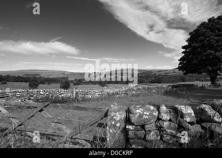 Black und White Panorama Blick über Middleton in Teesdale, Teesdale, County Durham, England, Großbritannien, UK Stockfoto