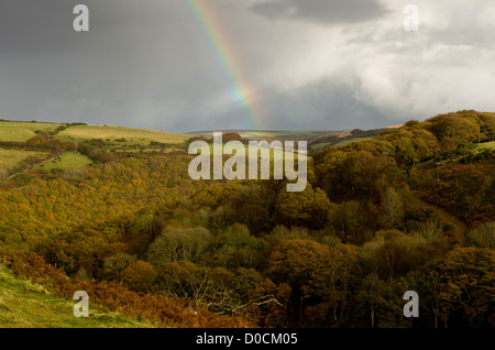 Regenbogen über Eichen- und Buchenwäldern Wälder im Herbst, im East Lyn Tal am Brendon, Exmoor National Park, Devon, England, UK Stockfoto