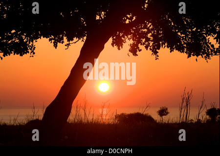 Pegeia, Bezirk Paphos, Zypern. 22. März 2012 Stockfoto