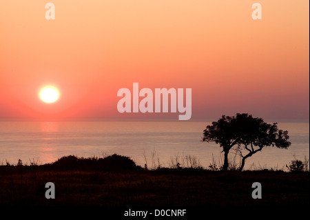 Pegeia, Bezirk Paphos, Zypern. 22. März 2012 Stockfoto