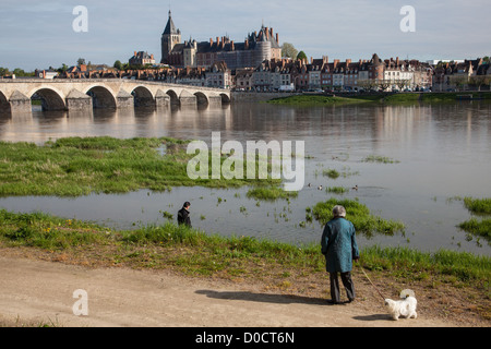 DIE STEINERNE BRÜCKE ÜBER DIE LOIRE DER STADTZENTRUMS UND SCHLOSS GIEN FRANCE LOIRET (45) Stockfoto