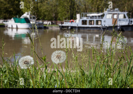 FLUSS-MARINA IN CHATILLON-SUR-LOIRE, LOIRET (45) FRANKREICH Stockfoto