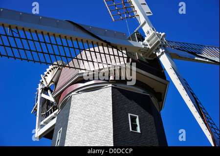 Murphy Windmühle am Golden Gate Park, San Francisco CA Stockfoto