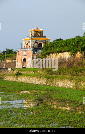 HUE, Vietnam – Schilf wächst im Graben um die Kaiserstadt in Hue, Vietnam. Der Komplex ist ein selbstgeschlossener und befestigter Palast und umfasst die lila Verbotene Stadt, die das innere Heiligtum des kaiserlichen Haushalts war, sowie Tempel, Höfe, Gärten und andere Gebäude. Ein großer Teil der Kaiserlichen Stadt wurde während des Vietnamkrieges beschädigt oder zerstört. Sie ist heute zum UNESCO-Weltkulturerbe ernannt. Stockfoto