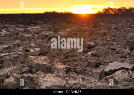 Bereich der frisch gedrehte Oberboden bilden Klumpen Erde in der Dämmerung Stockfoto