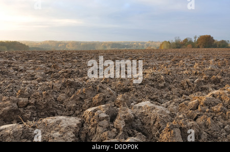 Bereich der frisch gedrehte Mutterboden bildet große Klumpen Erde Stockfoto