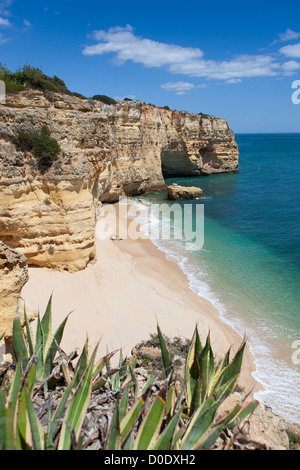 Praia Da Marinha, Algarve, Portugal, Strand Stockfoto