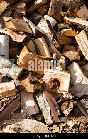 Protokoll-Stapel auf Wimbledon Common, zeigt die Säge Einschnitte in der warmen Herbstsonne, London, UK Stockfoto