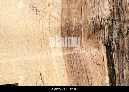 Protokoll-Stapel auf Wimbledon Common, zeigt die Säge Einschnitte in der warmen Herbstsonne, London, UK Stockfoto