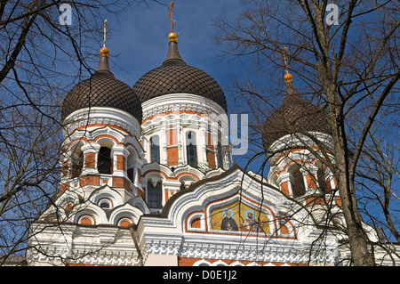 Alexander-Newski-Kathedrale Toompea Tallinn Estland Stockfoto