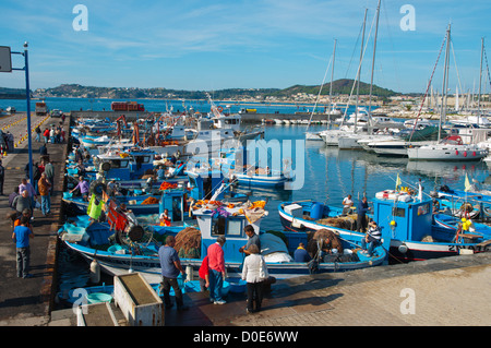 Fischmarkt am Freitag in Porto di Pozzuoli Hafengebiet Hafen der antiken Puteoli in Campi Flegrei Bereich Süditalien Stockfoto