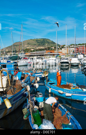 Fischmarkt am Freitag in Porto di Pozzuoli Hafengebiet Hafen der antiken Puteoli in Campi Flegrei Bereich Süditalien Stockfoto