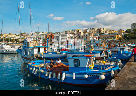 Fischmarkt am Freitag in Porto di Pozzuoli Hafengebiet Hafen der antiken Puteoli in Campi Flegrei Bereich Süditalien Stockfoto